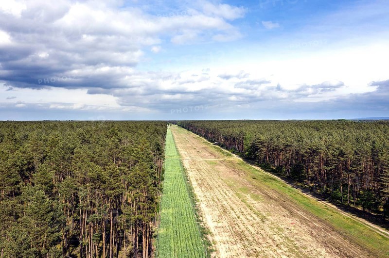 A path in the forest shows the route of the EUGAL pipeline. Hydrogen could be transported via the pipeline in the future, Grünheide, 16 05 2023