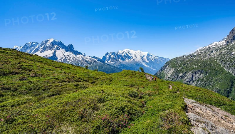 Mountain panorama with glaciated mountain peaks, Aiguille Verte with Aiguille du Midi and Mont Blanc, hike to Aiguillette des Posettes, Chamonix, Haute-Savoie, France, Europe
