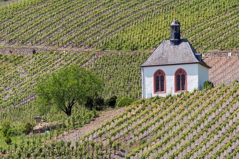 Kesselstatt Chapel in the vineyards near Kröv, burial chapel, Moselle, Rhineland-Palatinate, Germany, Europe
