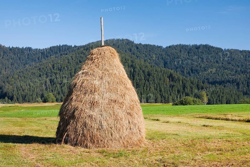 Traditional haystack Triste in the Rothenthurm high moor, Canton Schwyz, Switzerland, Europe