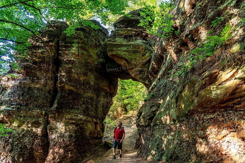 Hindenburgtor, rock formation on the red sandstone route, hiking trail, above the Rur valley, landscape in the Rur Eifel, near Nideggen, Düren district, North Rhine-Westphalia, Germany, Europe