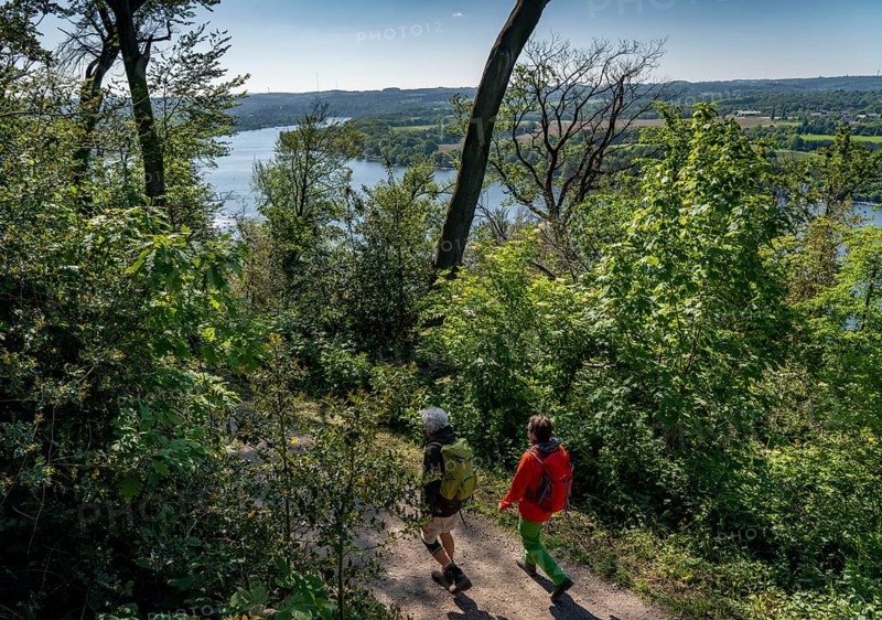 Hiking on the Baldeney Steig, a hiking trail around Lake Baldeney in Essen, a Ruhr reservoir, over the Ruhr heights, Essen, North Rhine-Westphalia, Germany, Europe