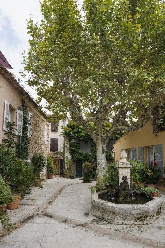 Small village square, Grimaud, Département Var, Provence-Alpes-Côte d'Azur, South of France, France, Europe