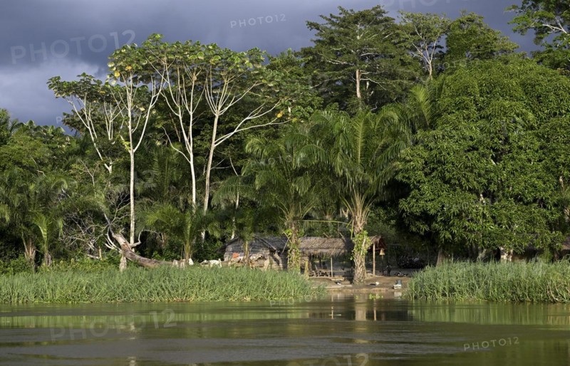 Hut on the Sangha River, Dzanga-Sangha Complex of Protected Areas (DSPAC), Sangha-Mbaéré Prefecture, Central African Republic, Africa