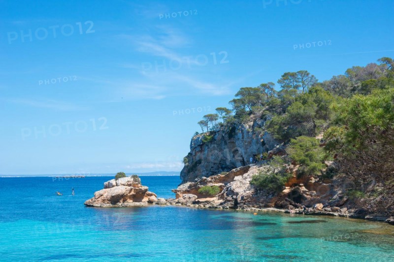 Clear blue sea surrounded by bright, rocky cliffs and green trees, pine trees (Pinus) under a sunny, blue sky with feathery clouds, Mediterranean Sea, Cala Portals Bay, Majorca, Balearic Islands, Spain, Europe