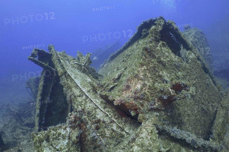 Heavily overgrown and rotten remains of a shipwreck in the sea. Dive site Wreck of the Condesito, Las Galletas, Tenerife, Canary Islands, Spain, Europe