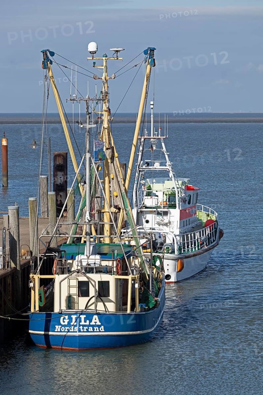 Fishing cutter, SAR boat, harbour, Strucklahnungshörn, Nordstrand, North Frisia, Schleswig-Holstein, Germany, Europe