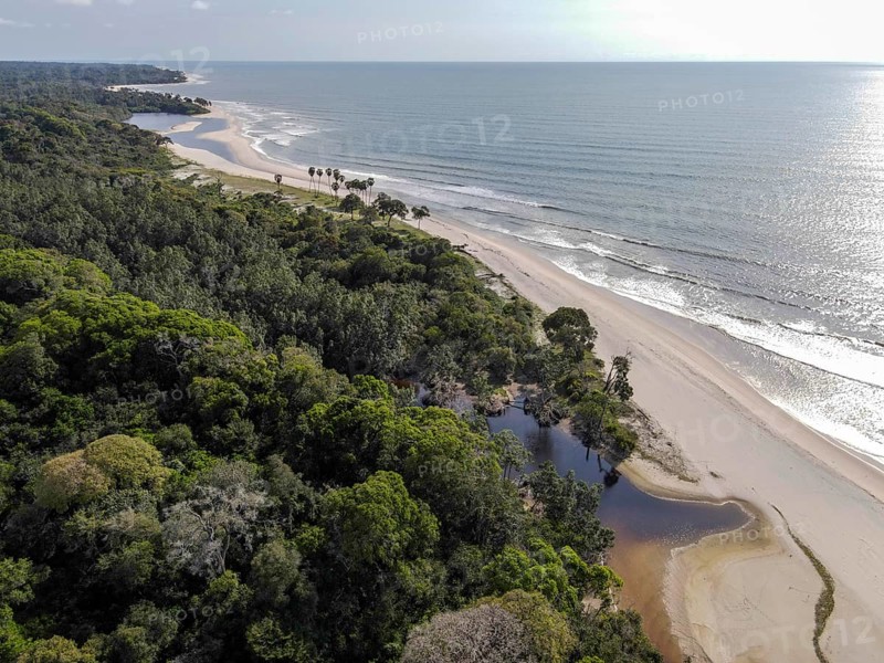 Beach in Loango National Park, Parc National de Loango, Atlantic Ocean, aerial view, Ogooué-Maritime Province, Gabon, Africa