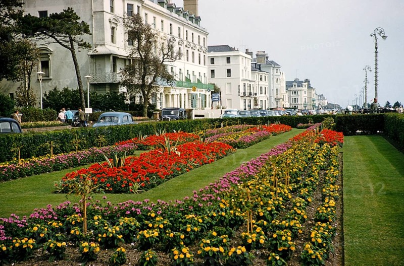 Flowerbeds and gardens, The Leas Promenade, Folkestone, Kent, England, UK, 1962 View to the east