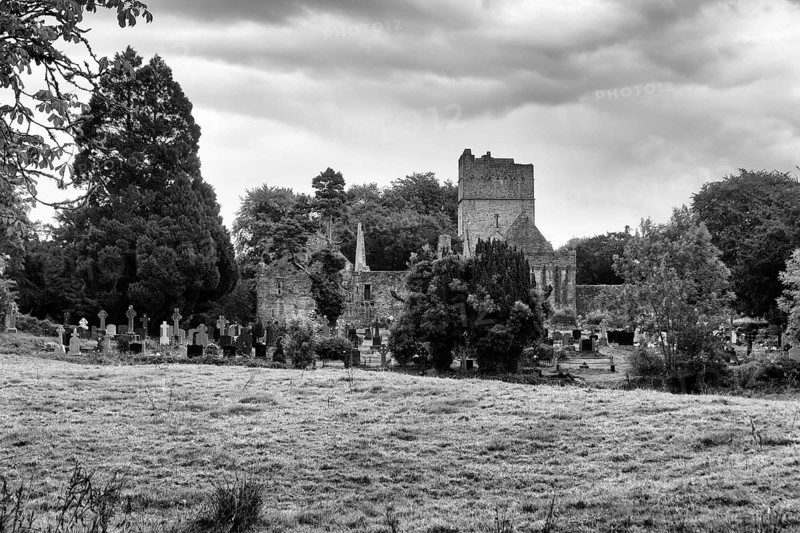 Muckross Abbey ruins with cemetery, Muckross Friary, monochrome, Killarney National Park, panoramic road Ring of Kerry, Iveragh Peninsula, County Kerry, Ireland, Europe