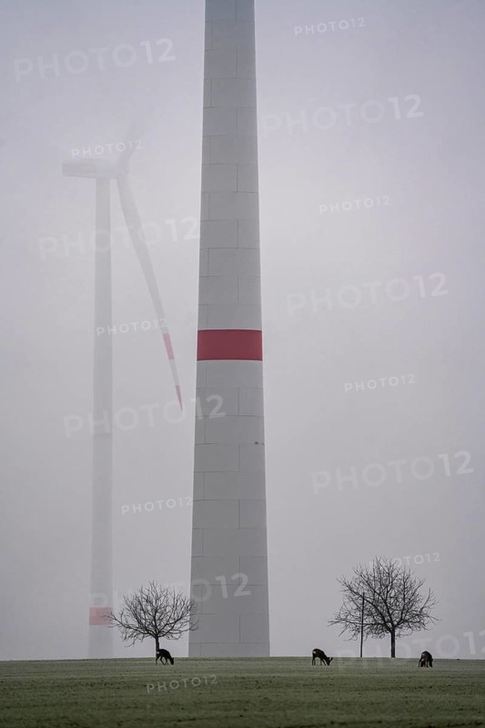 Wind farm in the fog, dark doldrums, no wind no direct sunlight, in the Rhenish lignite mining area, south of the Garzweiler open-cast mine near Bedburg, deer in the field, North Rhine-Westphalia, Germany, Europe