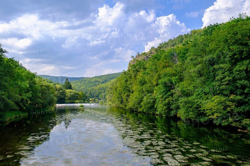 An der Thaya, river, Hardegg, Thaya valley, Thaya valley, border river, Weinviertel, Lower Austria, Austria, Europe