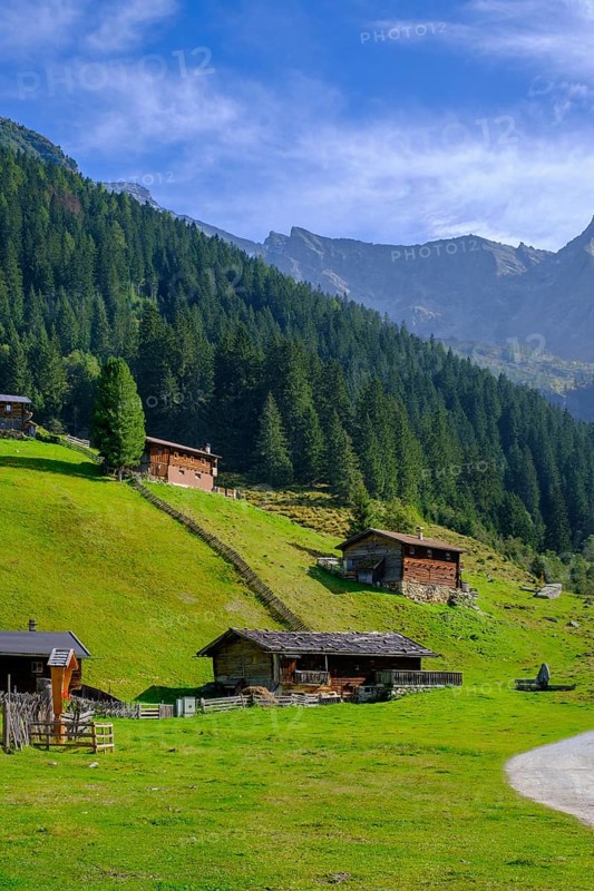 Helgas Alm, Valser Tal, Valser Tal Natura 2000 nature reserve, Wipptal, Tyrol, Austria, Europe