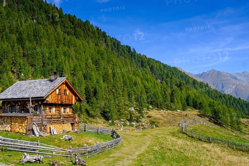 Staller Almen, high valley, Staller Sattel, Defereggen Valley, East Tyrol, Austria, Europe