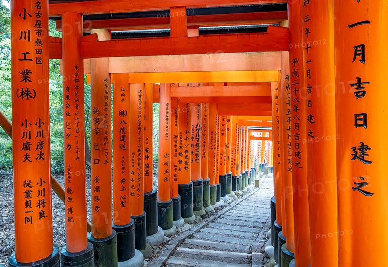 Torii path, Fushimi Inari-Taisha shrine, Kyoto, Japan, Asia