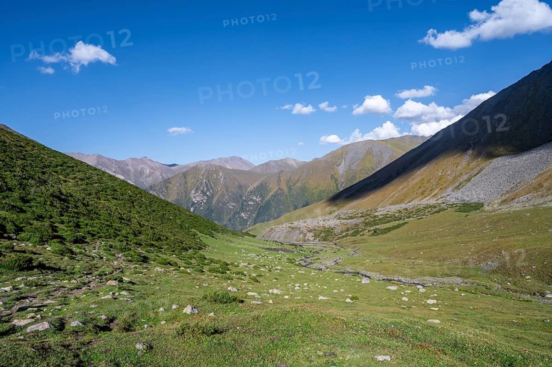 Green high valley with mountain stream, Keldike Valley on the way to the Ala Kul Pass, Tien Shan Mountains, Kyrgyzstan, Asia