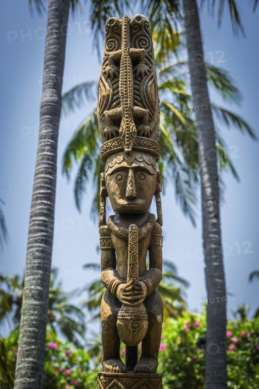 Statue of a native, sculpture, figure, totem, sculpture, religion, tree, wood, art, architecture, interior, monument, culture, tradition, wooden, symbol, travelling, tourism, icon, representation, image, worship, venerate, garden, exhibition, garden decoration, wellness, spa, palm tree, palm garden, exotic, Indonesia, Asia
