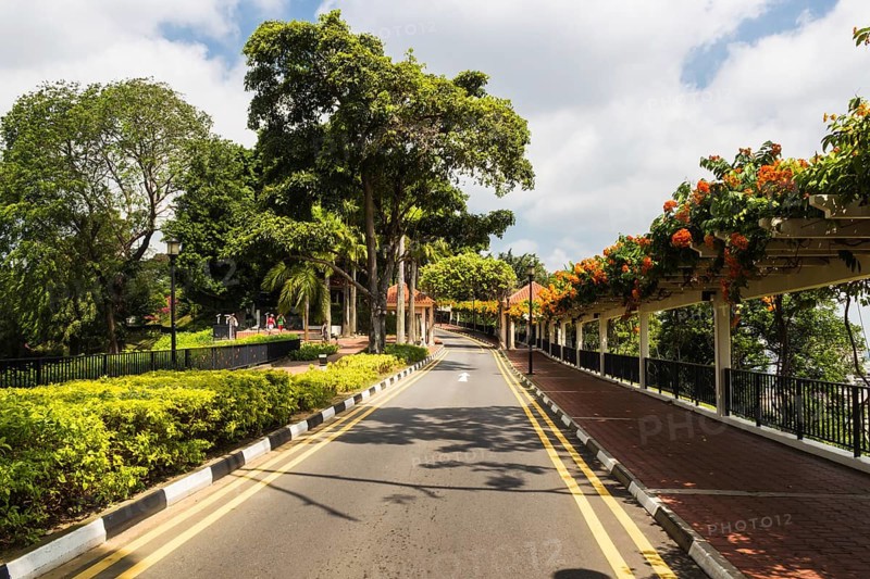 Asphalt road in the park in Singapore
