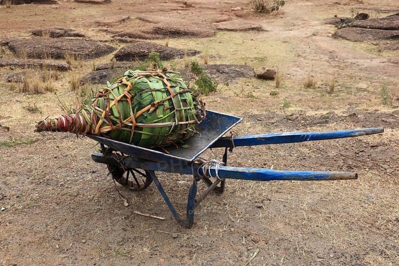 Khat wrapped in banana leaves, transported on a wheelbarrow, Ethiopia, Africa