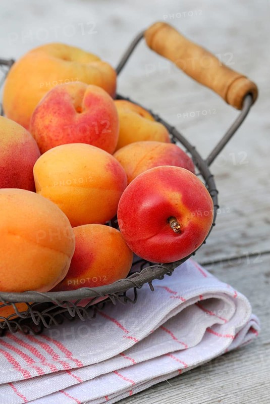 Apricots (Prunus armeniaca) in basket