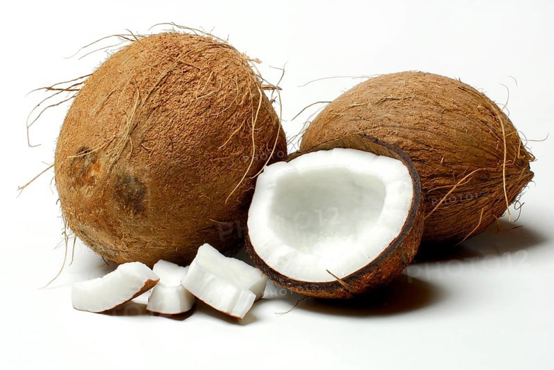 Coconuts (Cocos nucifera) , Coconut