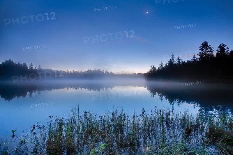 Crescent moon over the mirror-smooth mire lake Étang de la Gruère in the canton of Jura, Switzerland, Europe