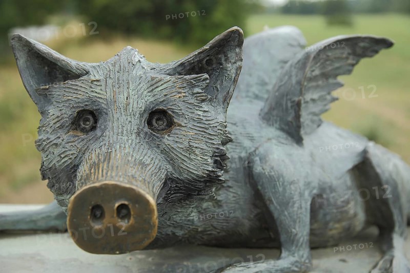 Sculpture GreenBelt Animal by Robert Gernhardt 2005, GreenBelt Animal, Armadillo, Bonames, Main, Frankfurt, Hesse, Germany, Europe