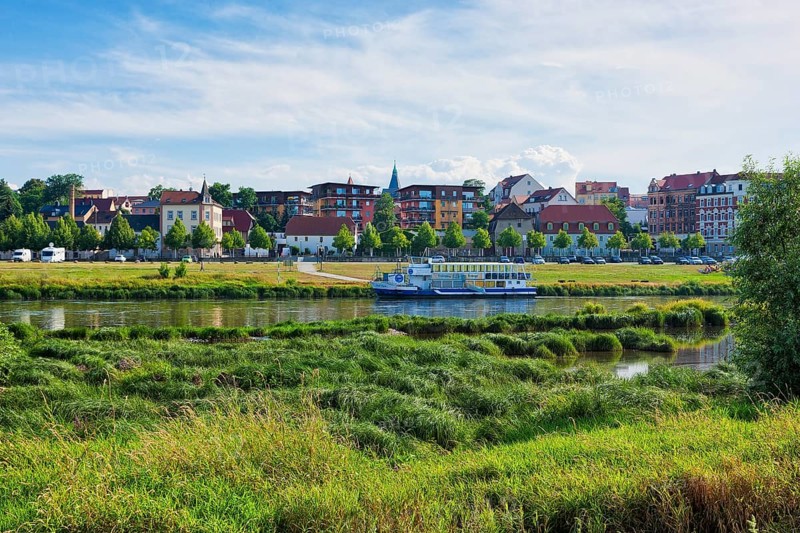 Elbe meadows in Riesa
