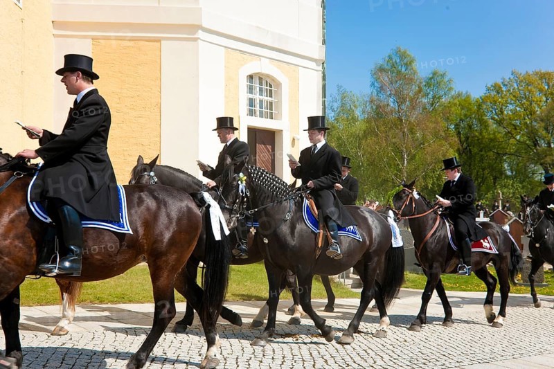 Every year at Easter there are about 5 processions in Lusatia, each with about 200 riders. The Catholic Church continues old Sorbian rites here. Thousands of spectators watch the impressive cavalcades