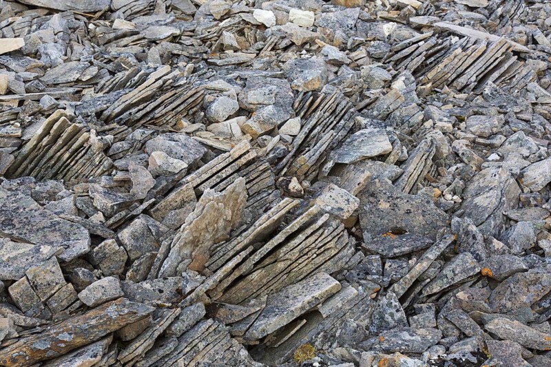 Close-up of shattered sedimentary rock, slate, shale fractured along existing joints by frost weathering on Svalbard, Spitsbergen, Norway, Europe