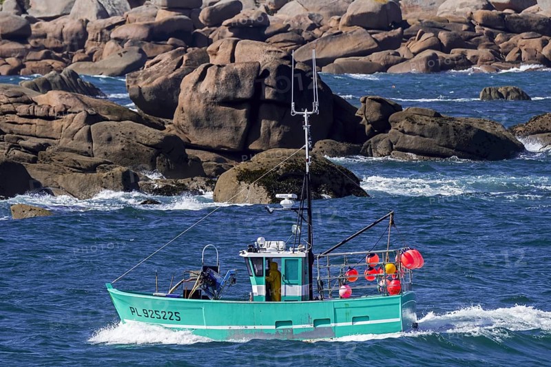Typical fishing boat from Brittany called caseyeur, fileyeur sailing along the Côte de granit rose, Pink Granite Coast at Ploumanac'h, Perros-Guirec, Côtes-d'Armor, Brittany, France, Europe