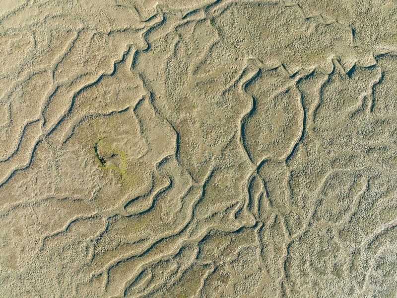 Network of dry channels and streams at low tide, in the marshland of the Bahía de Cádiz, aerial view, drone shot, Cádiz province, Andalusia, Spain, Europe