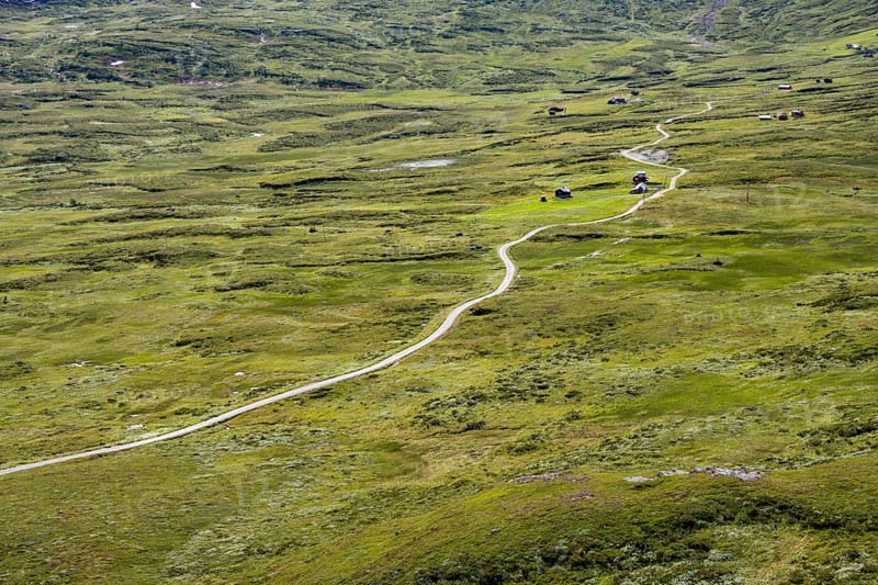 Road through tundra landscape, Fjell, Øystre Slidre, Jotunheimen National Park, Norway, Europe