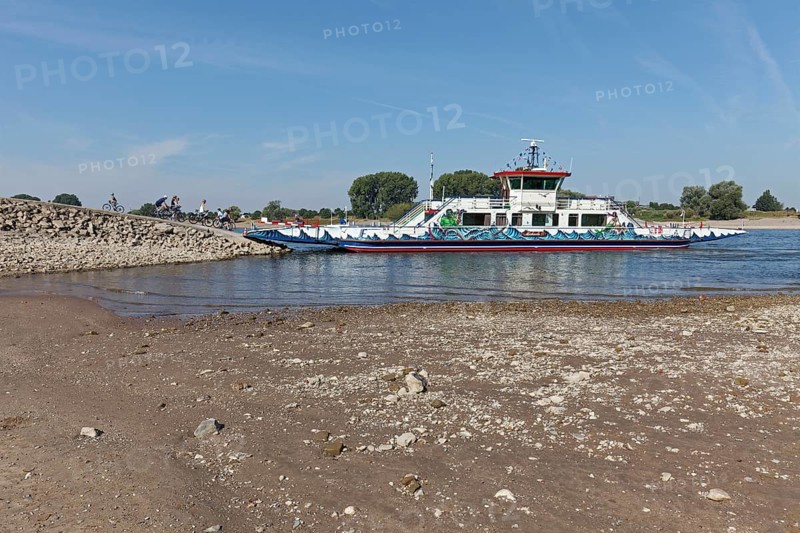 Rhine ferry at extremely low water in August 2022, water level 37 cm, Düsseldorf-Kaiserswerth, Lower Rhine, North Rhine-Westphalia, Germany, Europe