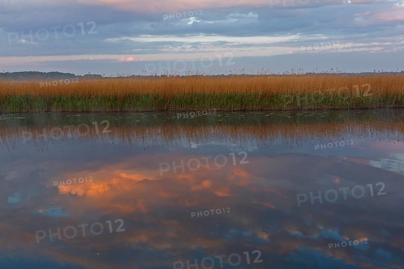 Sunset with cloud formation and reflection in the water on the river Trebel, reeds, Peene Valley River Landscape nature park Park, Mecklenburg-Western Pomerania, Germany, Europe