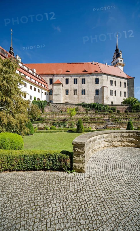 Rose Garden, Hartenfels Castle, Torgau, Saxony, Germany, Europe