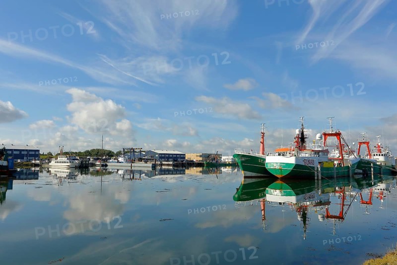 Harbour with fishing boats, Lauwersoog, Lauwersmeer National Park, Holland, Netherlands