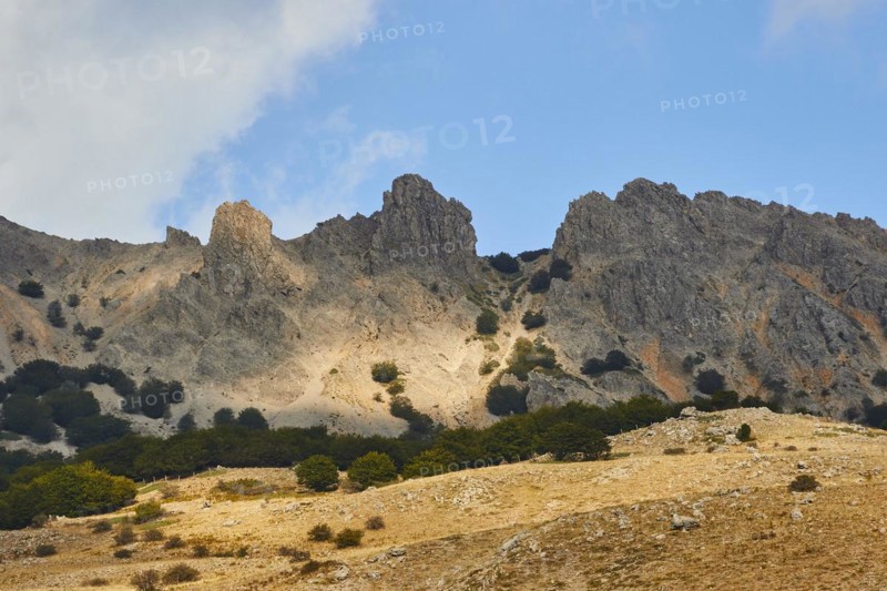 Bizarre mountain range, light and shade, trees, bare mountainside, Madonie National Park, autumn, late summer, Sicily, Italy, Europe