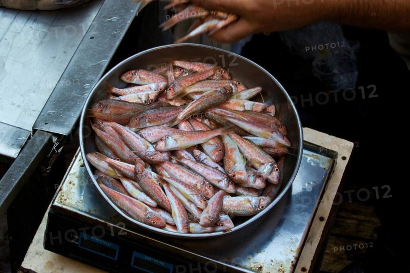 Reddish small fish in metal bowl, detail, fish market, Catania, Old Town, Baroque Old Town, Eastern Cuisine, Sicily, Italy, Europe