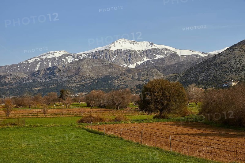 Green meadows, fields, trees, spring, Dikte massif, snow-capped mountains, Lassithi plateau, Lassithi, East Crete, island of Crete, Greece, Europe