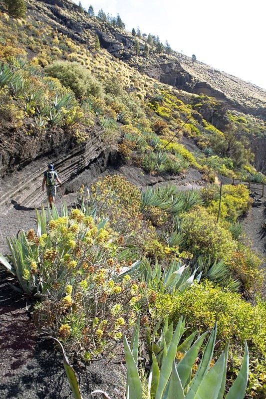 Hikers in the Caldera de Bandama in the Bandama Natural Park or Monumento Natural de Bandama, Las Palmas Province, Gran Canaria, Canary Islands, Spain, Europe