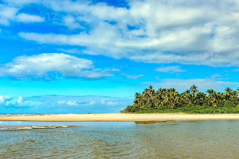 Beautiful Sargi beach with its coconut trees in the city of Serra Grande on the coast of Bahia