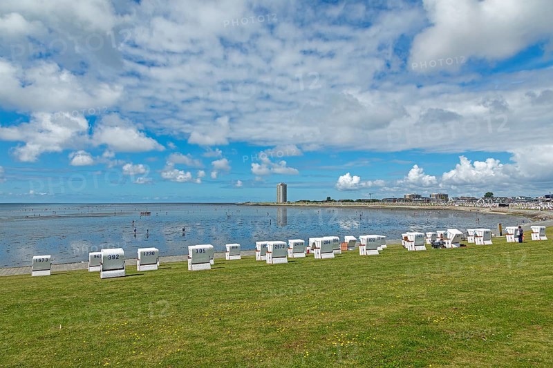 Beach chairs, green beach, high-rise building, Büsum, Schleswig-Holstein, Germany, Europe