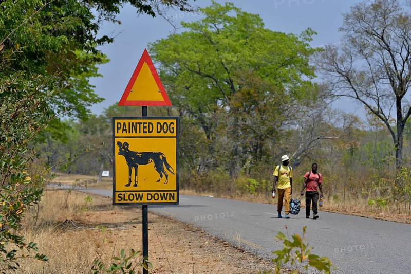 Warning Sign Painted dog, Attention African Wild Dogs, Hwange National Park, near Hwange, Matabeleland North Province, Zimbabwe, Africa