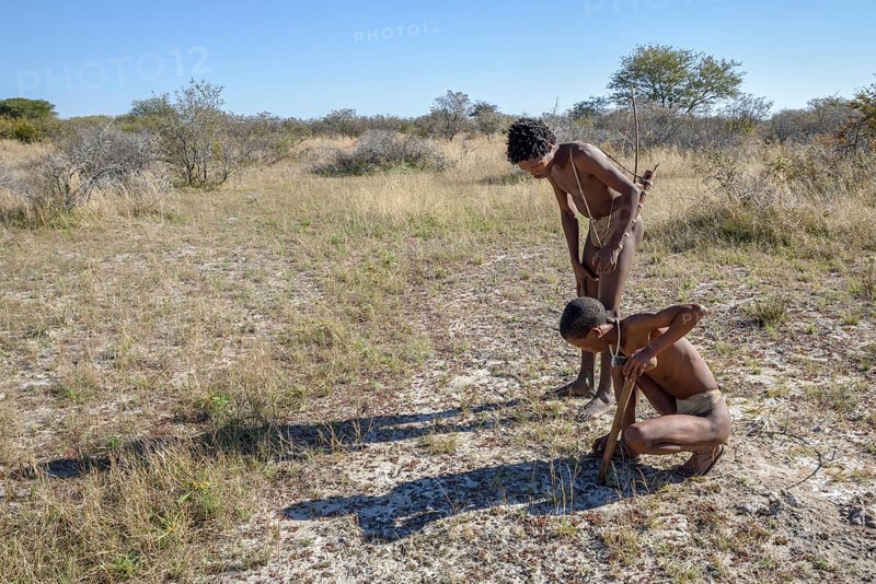 Bushmen of the Ju/' Hoansi-San on traditional hunting with bow and arrow, reading tracks, village //Xa/oba, near Tsumkwe, Otjozondjupa region, Namibia, Africa