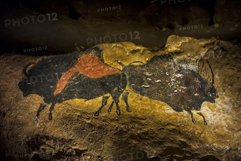 Replica of part of the Lascaux cave showing two prehistoric bull bison at the Le Thot museum, Thonac near Montignac, Dordogne, France, Europe