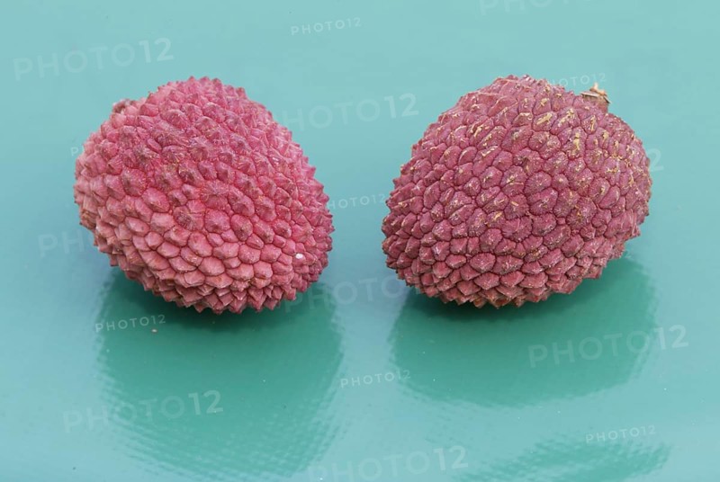 Lychee-Fruit (Litchi chinensis)