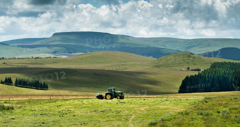 Cezallier plateau. Farmer rowing up hay in the Auvergne volcanoes regional natural park, Puy de Dome department, Auvergne-Rhone-Alpes, France, Europe