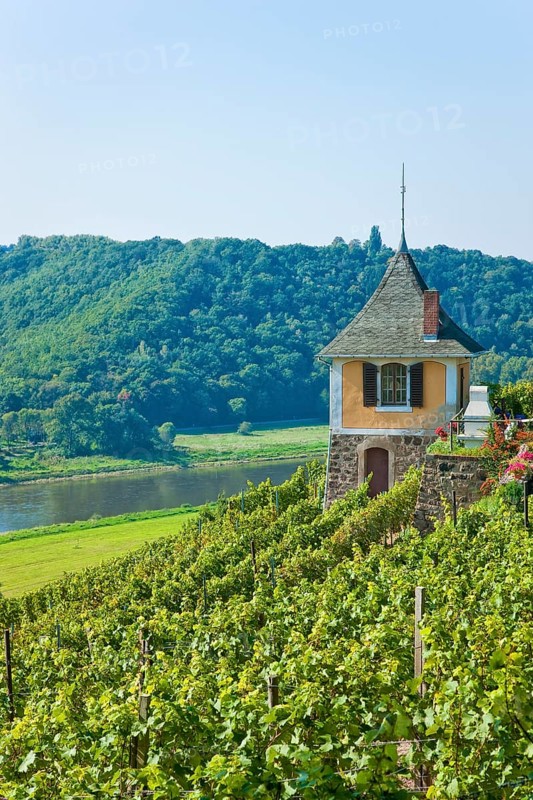 Not far from the Boselspitze, leaning towards the Elbe, is the vineyard known as the Rote Presse . The ochre-coloured vineyard cottage with its pointed roof, also known as the Swallow's Nest, is visible from afar