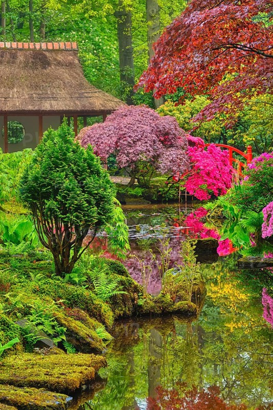 Little Japanese garden after rain, Park Clingendael, The Hague, Netherlands